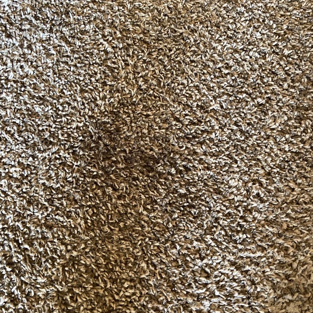 Dependable Carpet Cleaning - Another stain not cleaned - Carpet Cleaning Near Me Dependable Carpet Cleaning - Another stain not cleaned - Carpet Cleaning Near Me