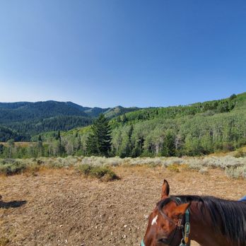 Teton Mountain Ranch - View of part if the national park from the ridge we rode to. - Tours Near Me - Victor, Idaho Teton Mountain Ranch - View of part if the national park from the ridge we rode to. - Tours Near Me - Victor, Idaho