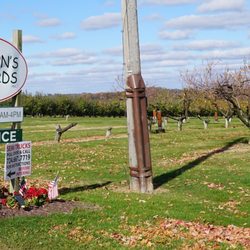 Dawson's Orchards, Inc.