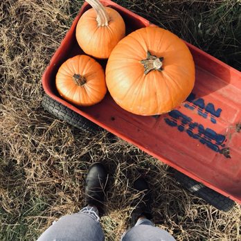 Hoffman Farm Store - Fruits & Veggies Near Me - Beaverton, Oregon