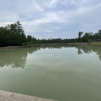 Lake Houston Wilderness Park - Parks Near Me - New Caney, Texas Lake Houston Wilderness Park - Parks Near Me - New Caney, Texas