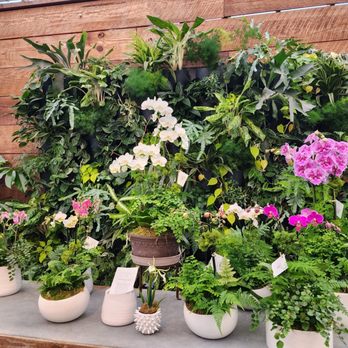 Abide A While Garden Boutique - Nurseries & Gardening Near Me - Mount Pleasant, South Carolina