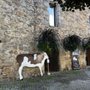 Photo of la maison de la fourme