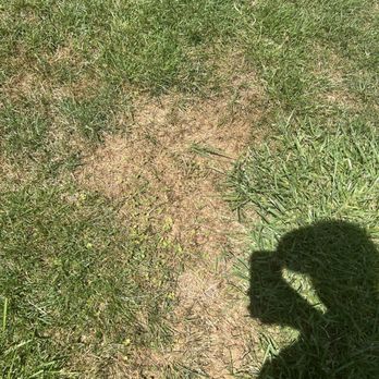 TruGreen Lawn Care - a shadow of a person holding a frisbee - Tree Services Near Me - Springboro, Ohio