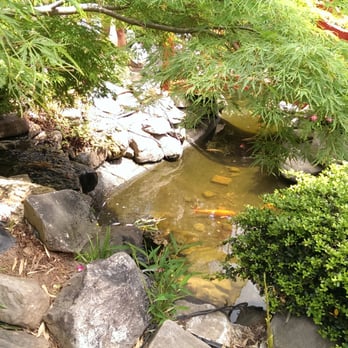 Atlanta Chinatown Mall - small open garden area inside - Shopping Centers Near Me - Chamblee, Georgia