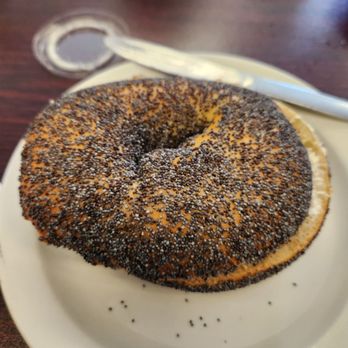 Rob's Bageland - a bagel on a plate - Delis Near Me - Plantation, Florida
