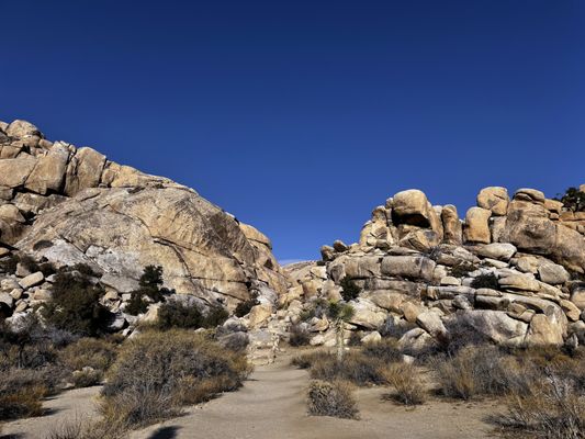 Sheep Pass Campground by null