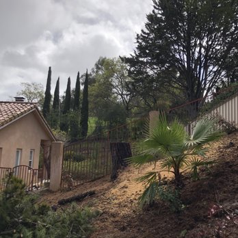 Universal Tree Services - What a view now! - Tree Services Near Me Universal Tree Services - What a view now! - Tree Services Near Me