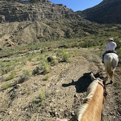 JR's Carriage Service - We had a great time on the wild horse tour with J.R. Highly recommend!