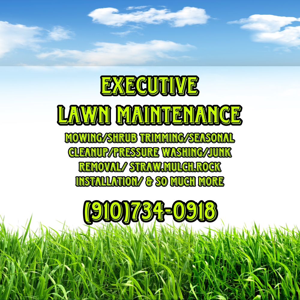 EXECUTIVE LAWN MAINTENANCE Lumberton, North Carolina Lawn Services