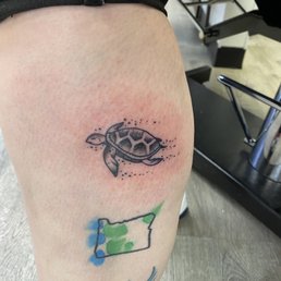 Turtle is done by Nate. Turtle is done by Nate.