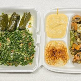 Vegetarian Combo