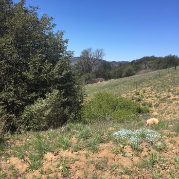 Volcan Mountain Preserve - Hiking Near Me - Julian, California Volcan Mountain Preserve - Hiking Near Me - Julian, California