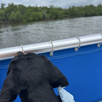 Pure Florida - Boat Charters Near Me - Naples, Florida Pure Florida - Boat Charters Near Me - Naples, Florida