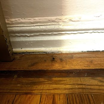 Titanium Cleaning Services - I live in a pre-war building so these dust bunnies get wild. - Home Cleaning Near Me
