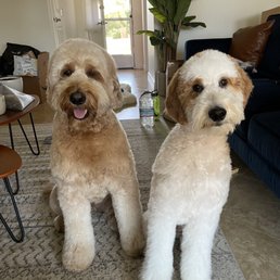 Our happy babies post groom Our happy babies post groom