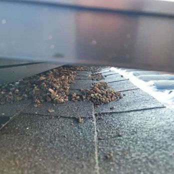 Prosol Solar Panel Cleaning & Pigeon Control - Solar Panel Cleaning Near Me Prosol Solar Panel Cleaning & Pigeon Control - Solar Panel Cleaning Near Me