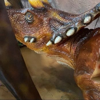 DinoLand Cafe - Tricera-bench - New American Near Me - Myrtle Beach, South Carolina