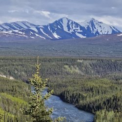 Denali Park Village