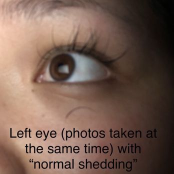Lash Out! - One week after my new set - Eyelash Service Near Me - Santa Rosa, California