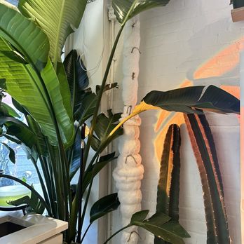 Her Boba - Interior - Bubble Tea Near Me - New York, New York