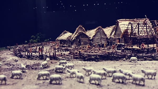 Palais de Rumine by null