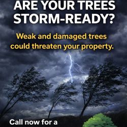 Letterman Tree Service
