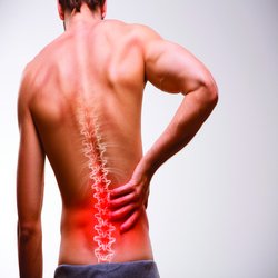 Ageless Sculpting and Wellness