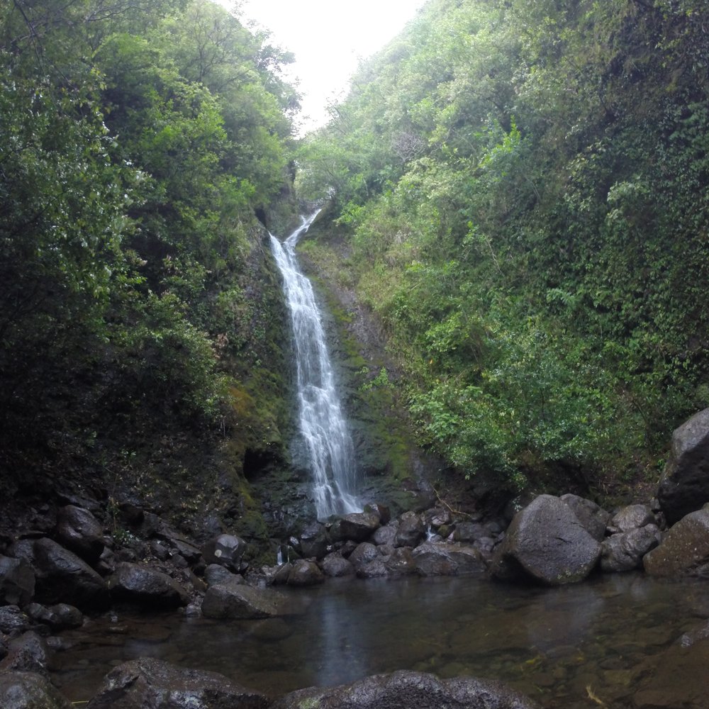 Lulumahu Falls - The waterfall! - Hiking Near Me - Honolulu, Hawaii