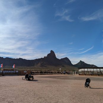 Rooster Cogburn Ostrich Ranch - Petting Zoos Near Me - Picacho, Arizona Rooster Cogburn Ostrich Ranch - Petting Zoos Near Me - Picacho, Arizona