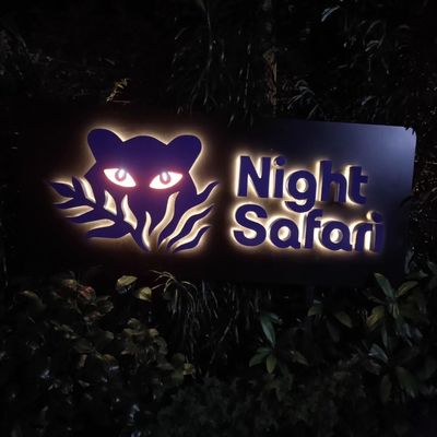 Night Safari by null