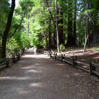 Redwood Loop Nature Trail - Hiking Near Me - Boulder Creek, California