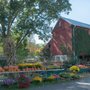 Photo of Highland Orchards