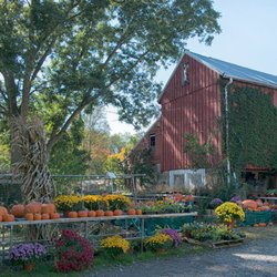 Highland Orchards