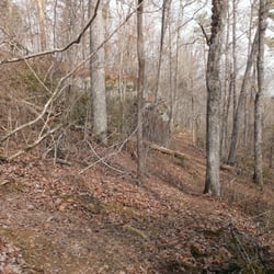 Lodge Falls