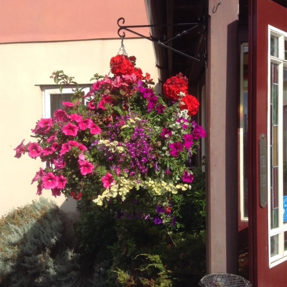 Innkeepers Lodge - Beautiful flowers at the entrance to the lodge - Hotels Near Me - Willerby, ERY