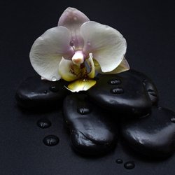 Omega Massage + Wellness - Hot Stone Massage to melt away your tension.