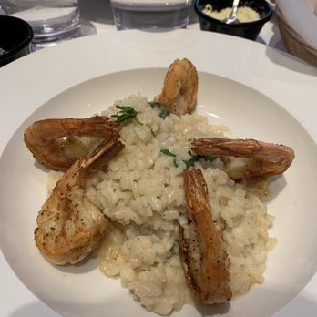 Casarecce - Shrimp risotto - Italian Near Me - Boston, Massachusetts