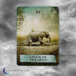Stopher Cavins Psychic Medium