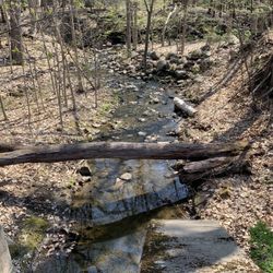 Shenantaha Creek Park - Another creek