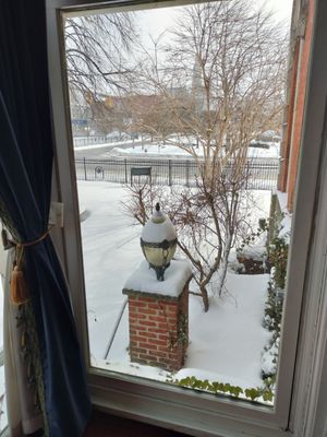 The Mansion on Delaware Avenue by null