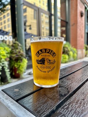 The Bulldog Lowertown by null