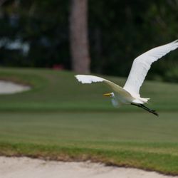 Hobe Sound Golf Club