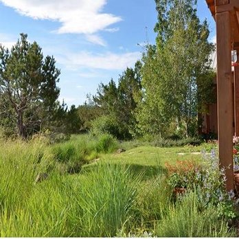 Judith Phillips' Design Oasis - untitled - Landscape Architects or Designers Near Me - Albuquerque, New Mexico Judith Phillips' Design Oasis - untitled - Landscape Architects or Designers Near Me - Albuquerque, New Mexico