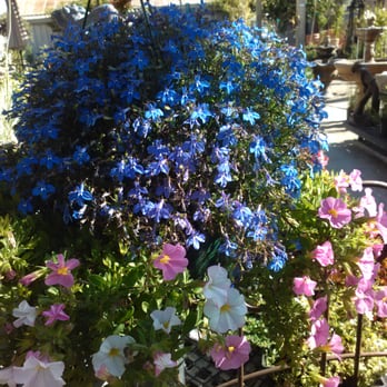Santa Ynez Valley Hardware - Hanging basket - Hardware Stores Near Me - Solvang, California