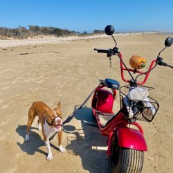 Rippin E-Bikes
