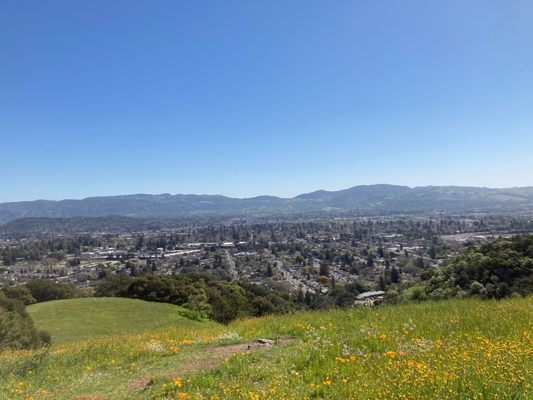 Westwood Hills Park by null