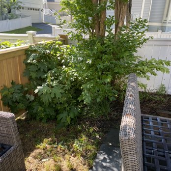 WJ Full Sevices - Clean up - Lawn Services Near Me WJ Full Sevices - Clean up - Lawn Services Near Me