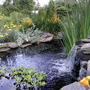 Photo of Eagle Landscaping