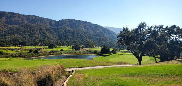 Zaidee's Bar and Grill by null